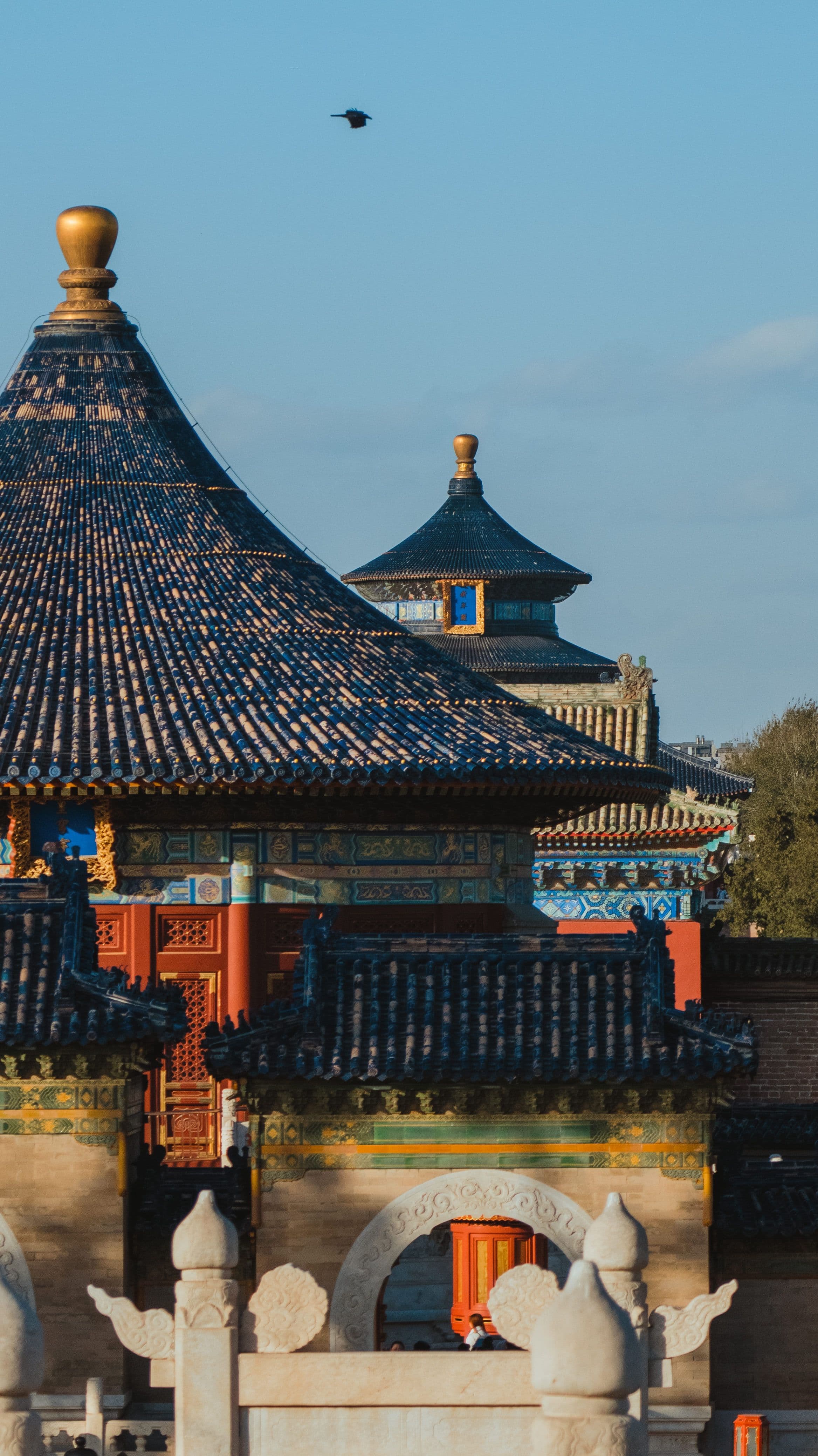 Medicina Tradicional Chinesa e práticas integrativas milenares